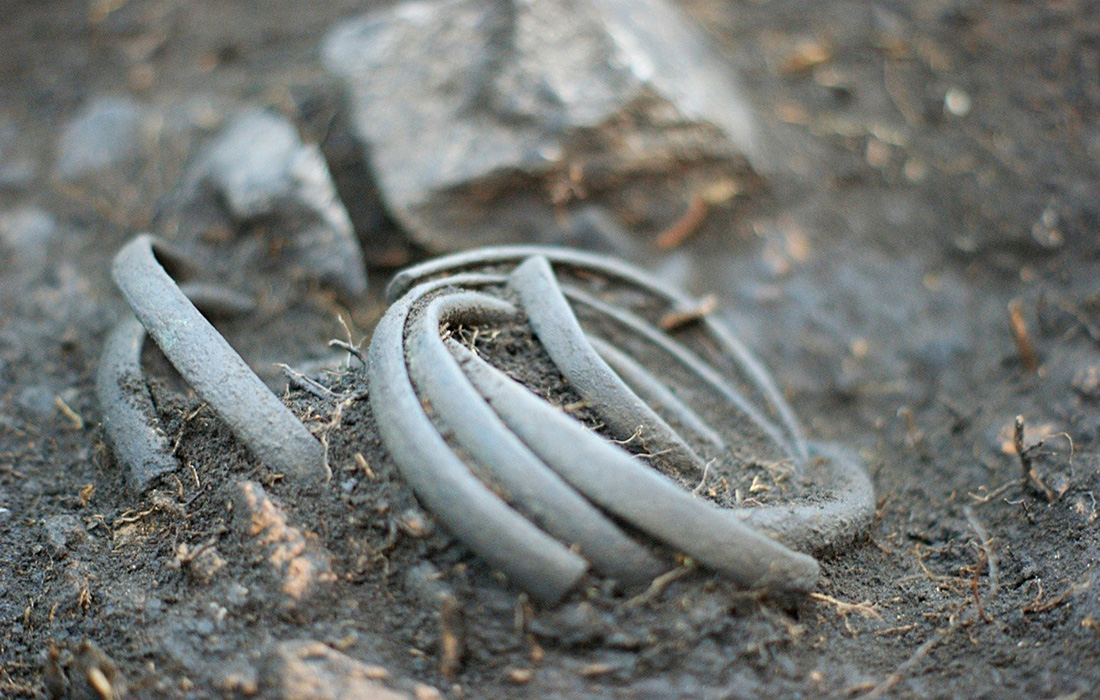 Systematické prospekce přináší výsledky